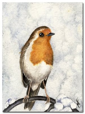 robin watercolour painting