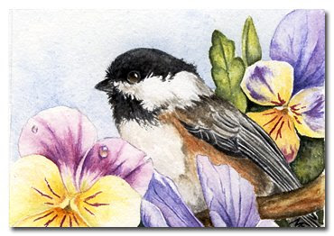 Chickadee watercolour painting