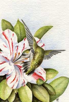watercolour hummingbird painting