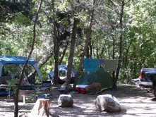 campsite grows by tent and canopies,(c)2008 Sharon Falsetto