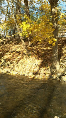 low water levels in the fall