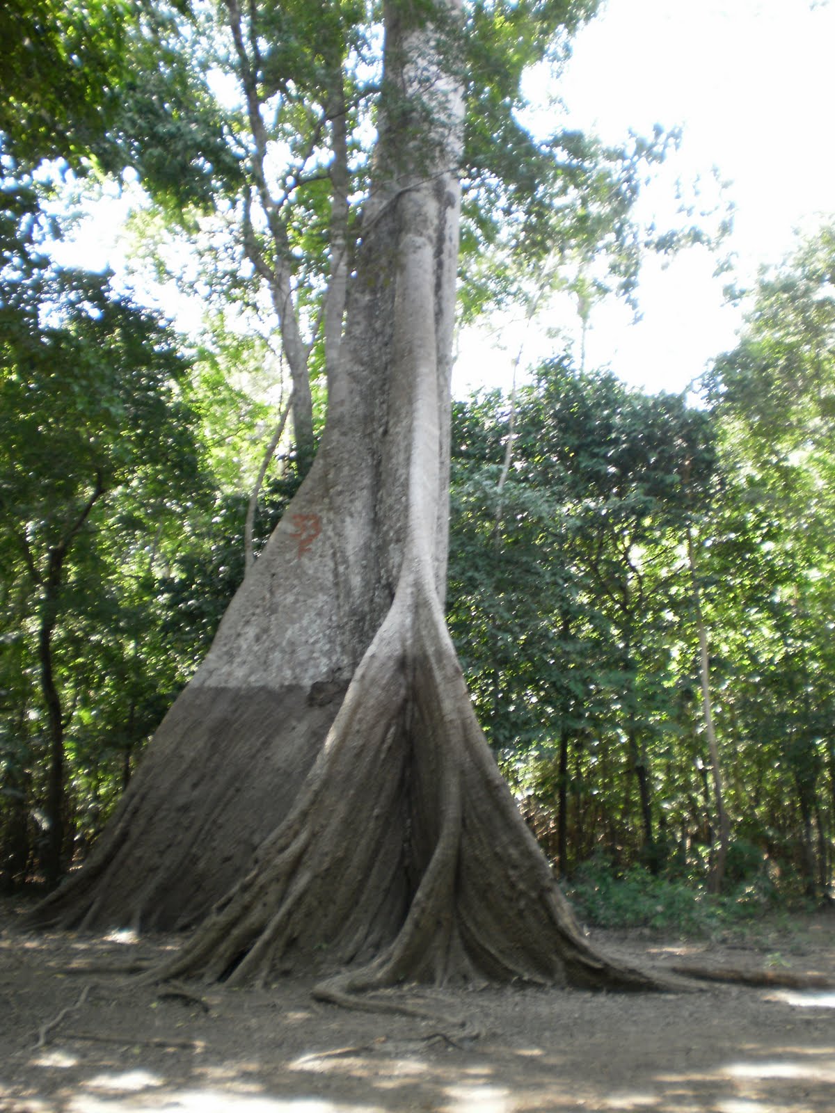 [brasil+2009+079.jpg]