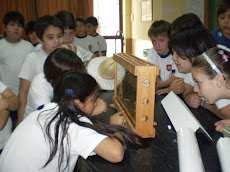 Niños del Instituto Virgen del Carmen de Cuyo observando las abejas