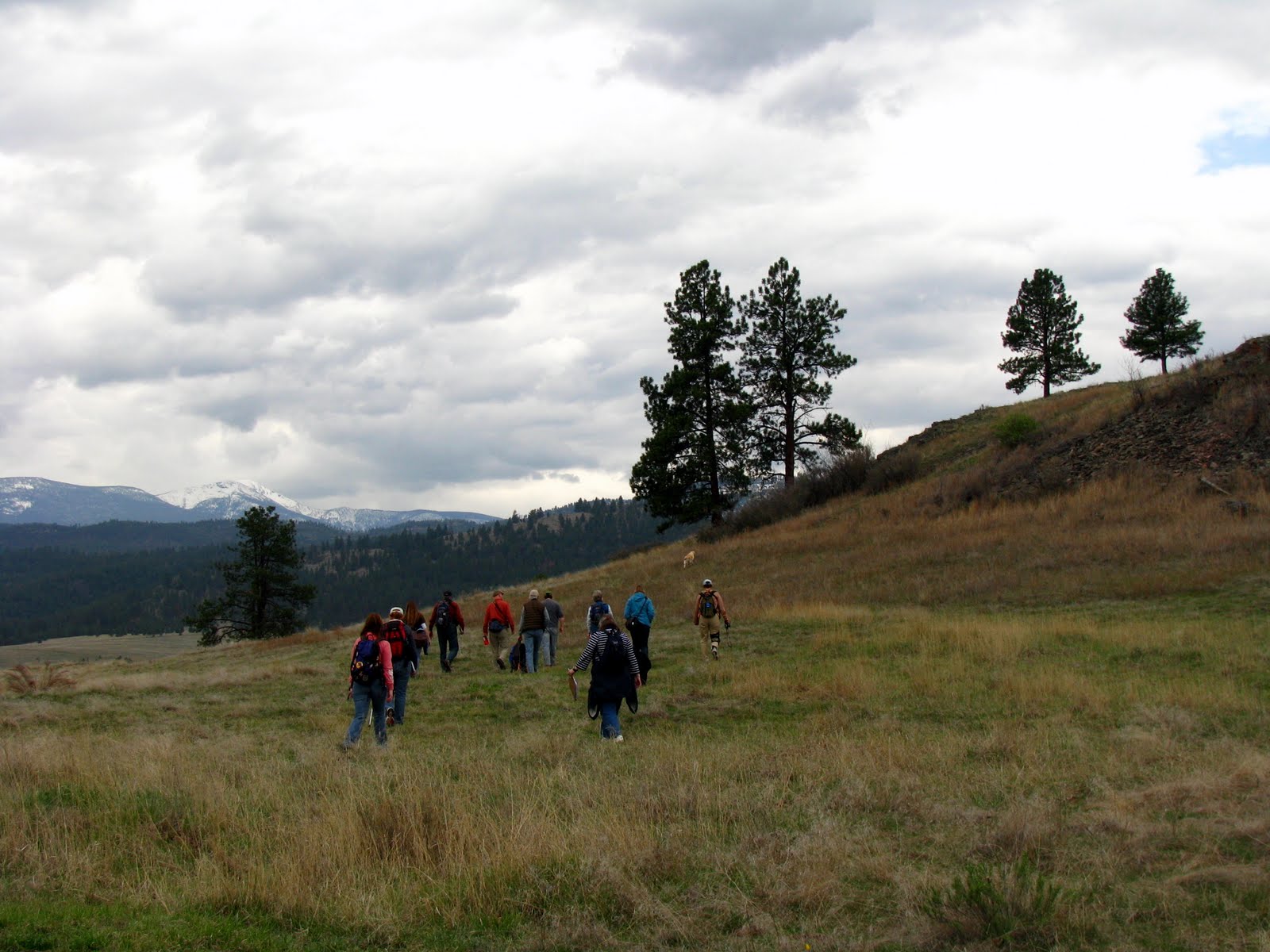 Nature. Observation. Discovery. Community. Biogeography Field Trip at