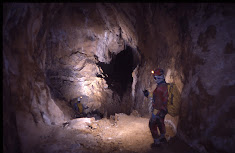 AREA ALUMNOS INSTRUCTORES