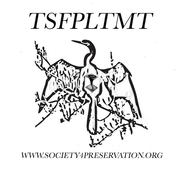 The Society for the Preservation of Lost Things and Missing TIme