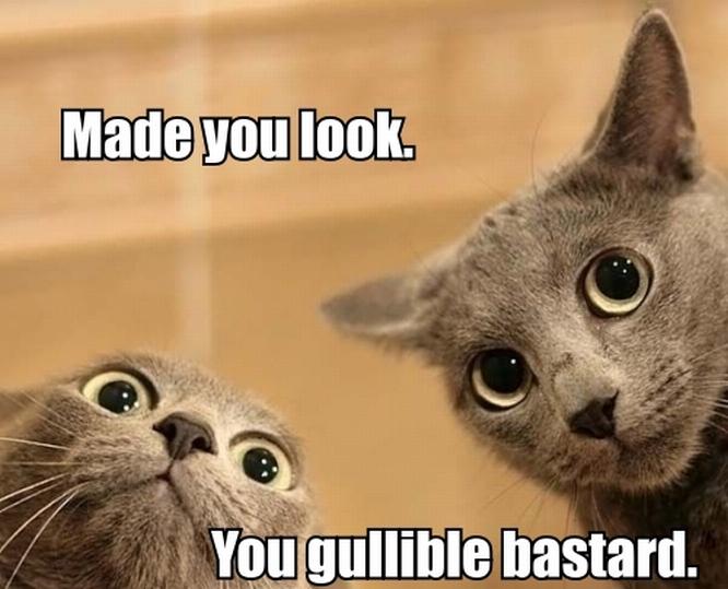 Made%2BYou%2BLook%2BTrollcat.jpg