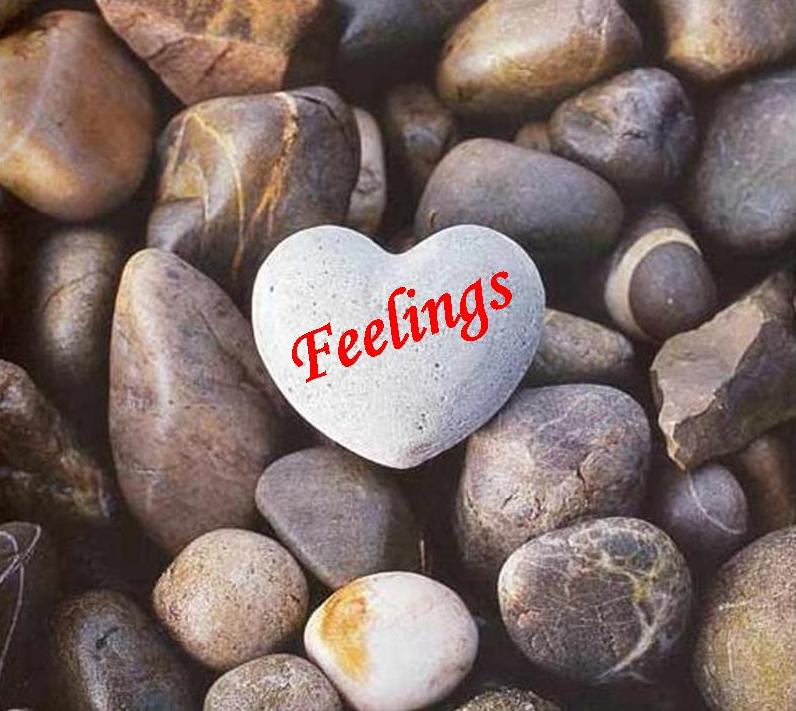 [Feelings.jpg]