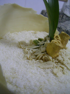 SANY0102.JPG