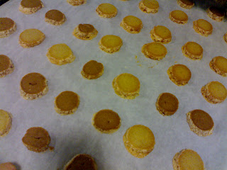01052009028.jpg