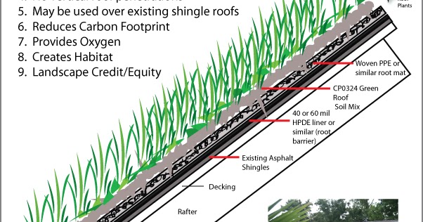Kevin Songer Green Roof Cross Section Extensive Non Irrigated Kevin Songer Green Roof Cross Section Extensive Non Irrigated Exhibit