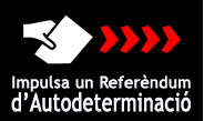 referendum