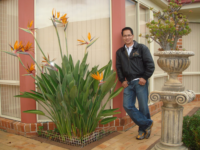 Winter time @ d backyard