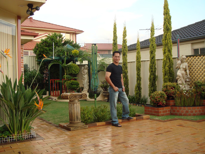 My Garden
