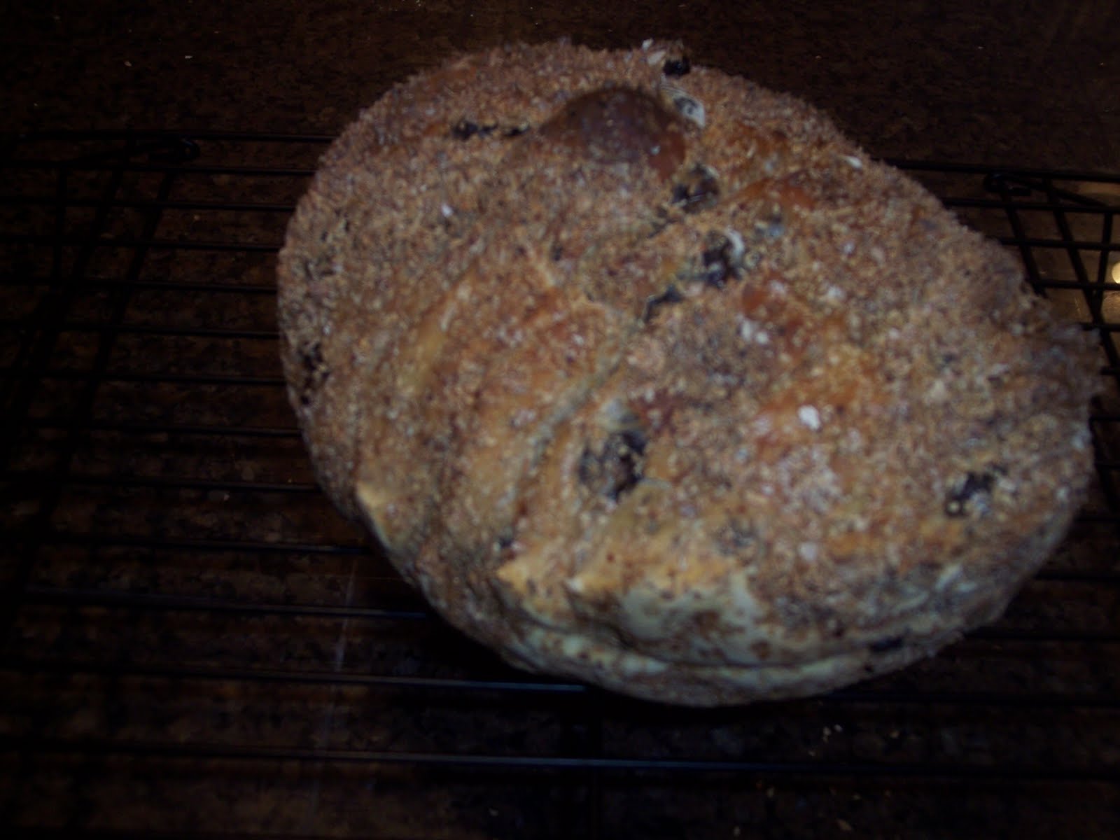 Judy's Bakery and Test Kitchen Pane all'OliveOlive Bread