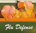 Flu-Defense Website
