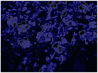 Free Backgrounds: Free Powerpoint Backgrounds 229