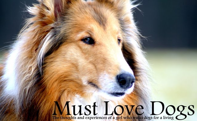 Must Love Dogs