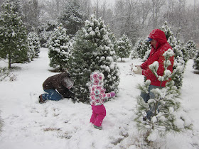 A Little Training and a Little Life: The Christmas Tree Farm and Light Park
