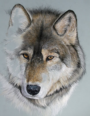 FUR IN THE PAINT: Mixed Media Wolf- part 3