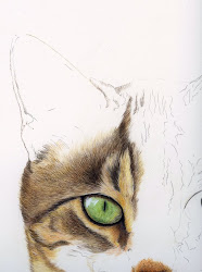 watercolour cat tabby fur continued paint