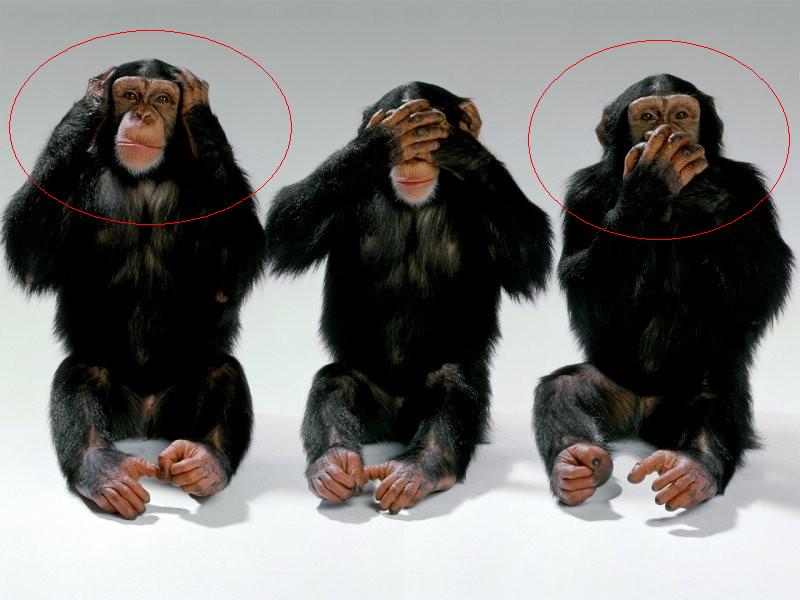 [wildlife-monkeys-hear-no-evil-see-no-evil-speak-no-evil.jpg]