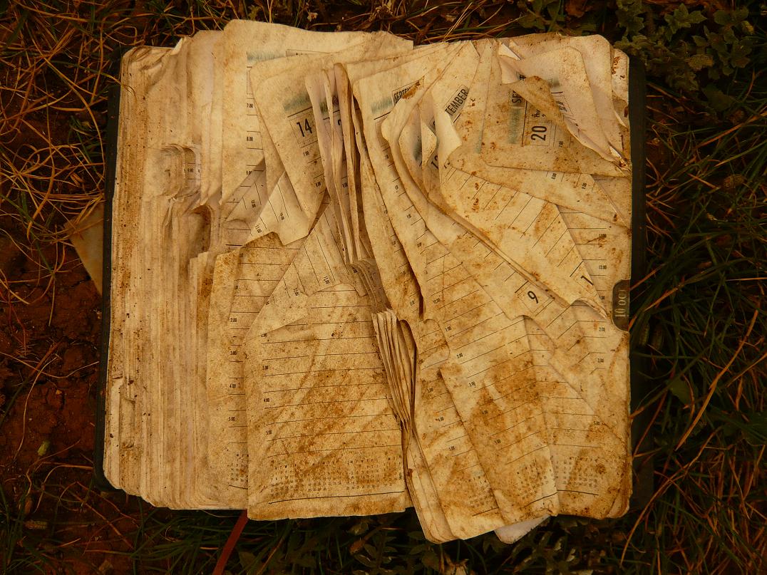 [found+a+diary+SMALL.JPG]