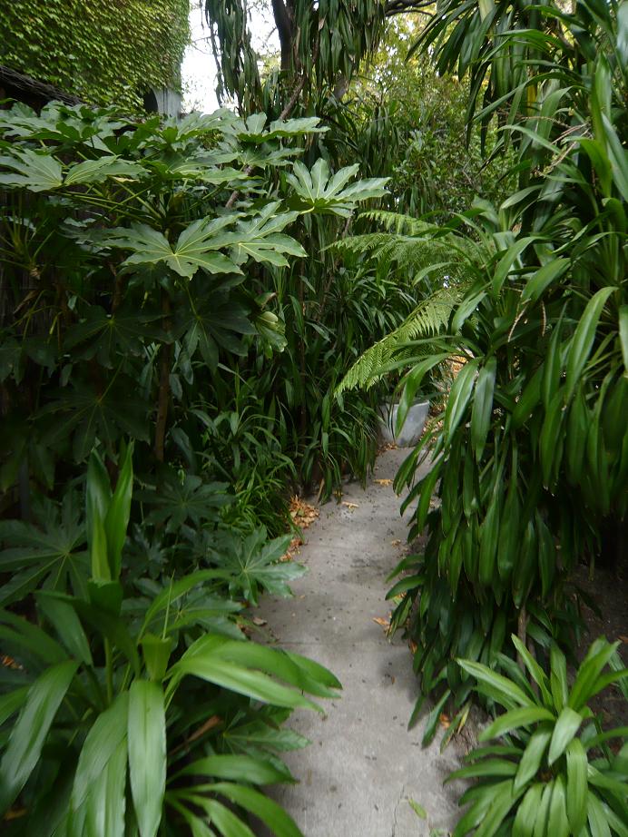 [up+the+garden+path.JPG]