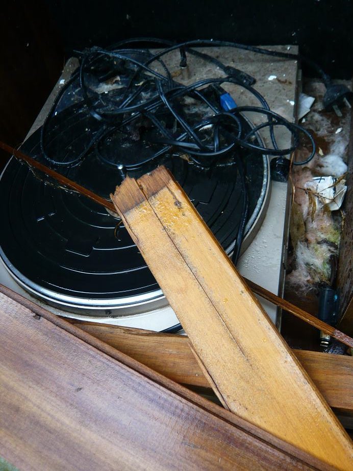 [end+of+music+2.JPG]
