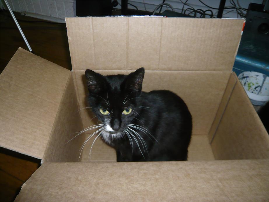 [kiki+box.JPG]
