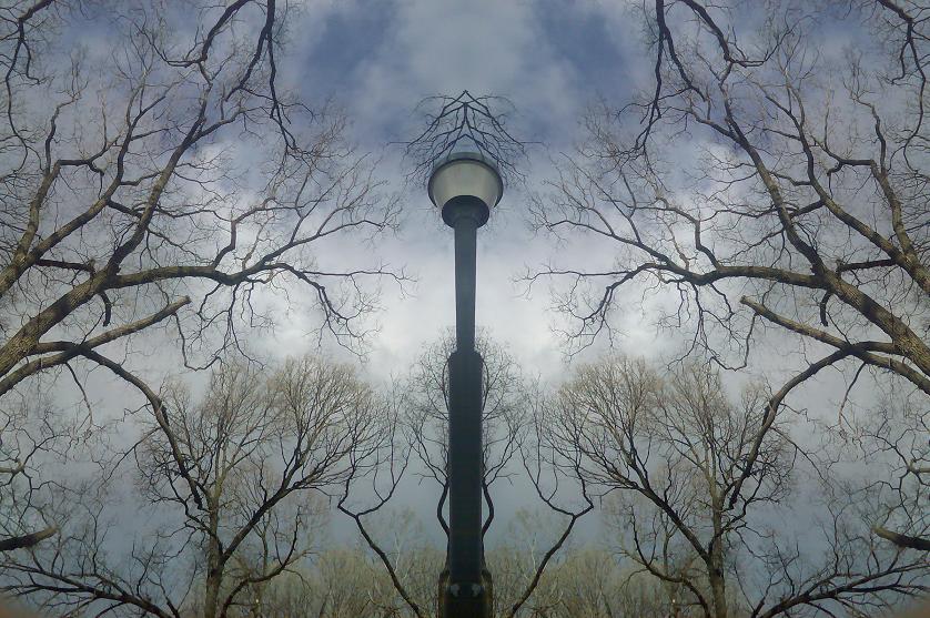 [lamp+post.JPG]