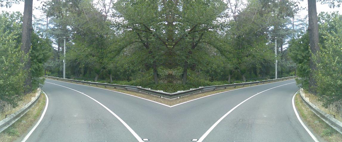 [fork+in+the+road+2.JPG]