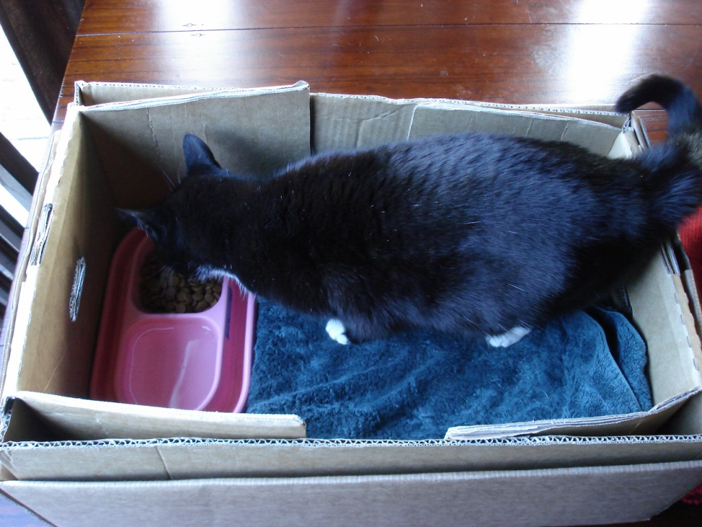 [kiki+box+(4).JPG]