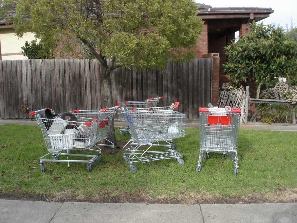 [shopping+trolleys.JPG]