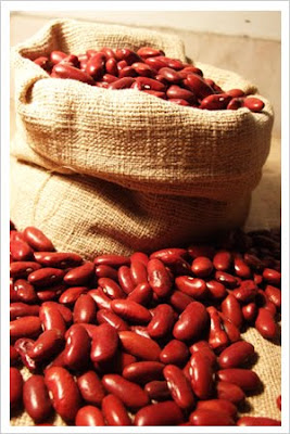 How to grow red kidney beans from dried seed