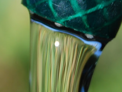 Water pouring out the end of a green hose pipe