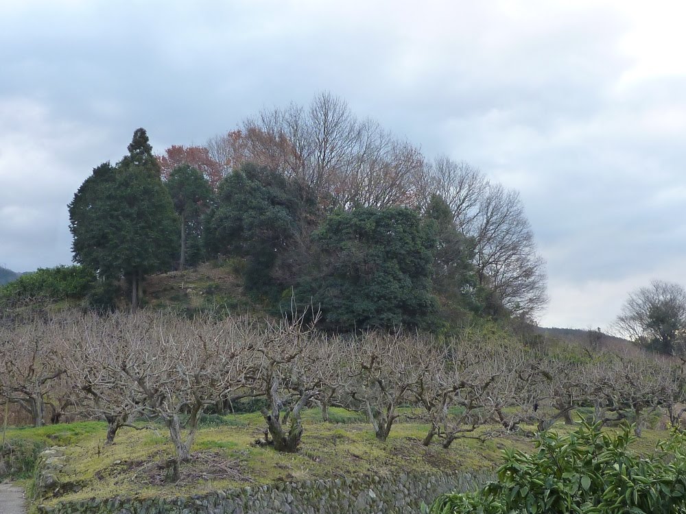 青葉考古学倶楽部 奈良 東殿塚古墳