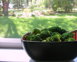 Broccoli on the kitchen sill on a beautiful early-fall day