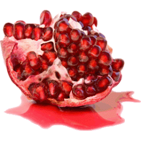 pomegranate granate scriptorium