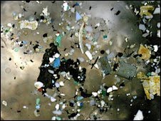 [plasticsfromnighttrawl.jpg]