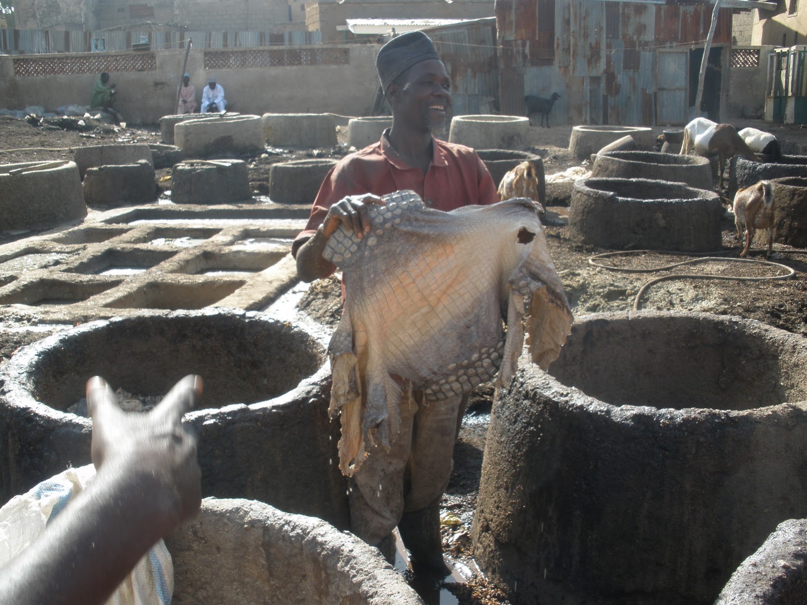 3 Months in Africa: January 2011