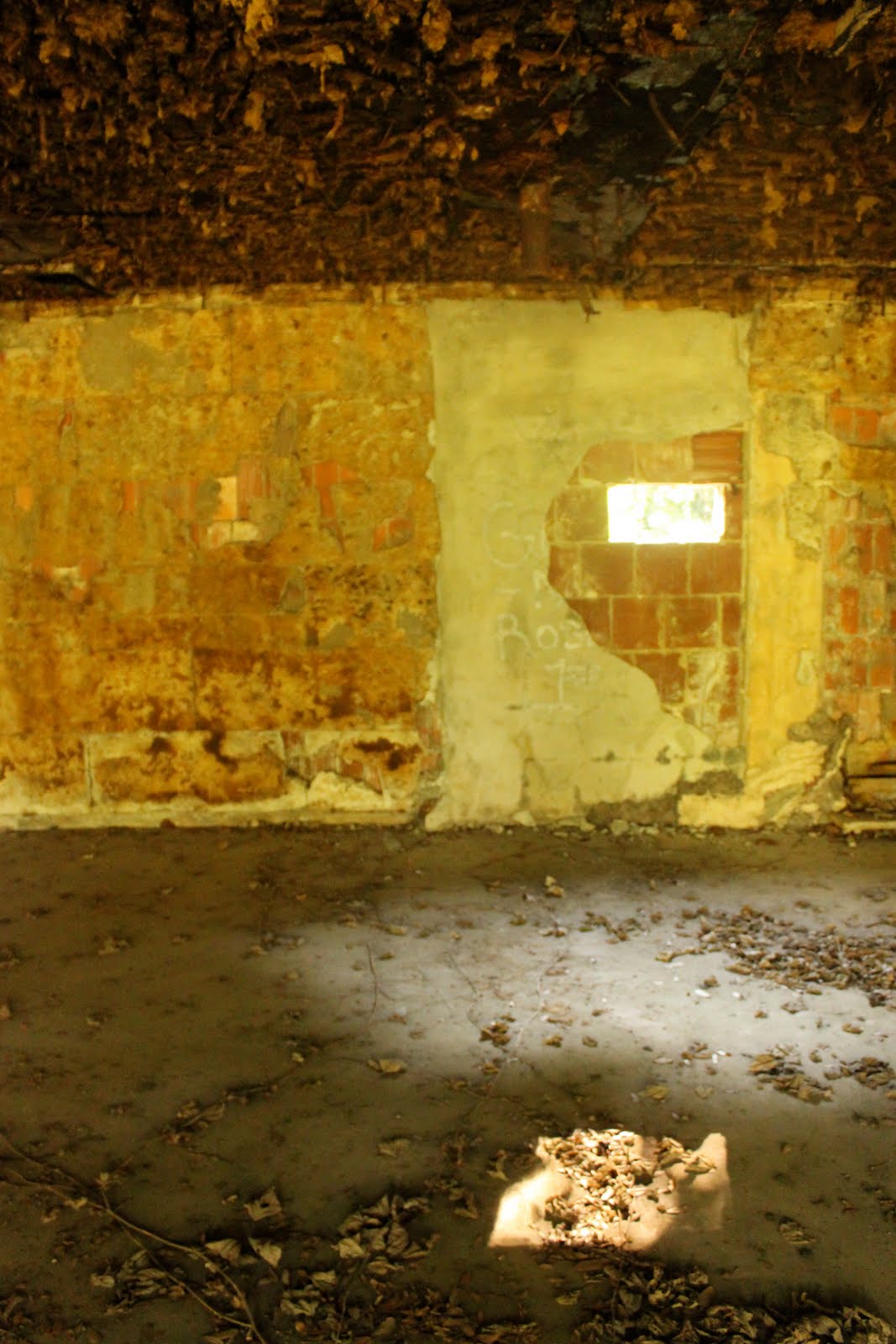 Eye and Eye Photography Old Pickle Factory