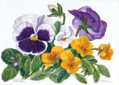 Pansies Botanical Painting