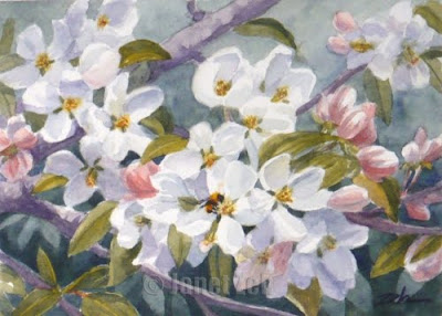 Apple Blossoms watercolor painting
