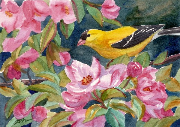 [eb147D09+golldfinch+crabapple.jpg]