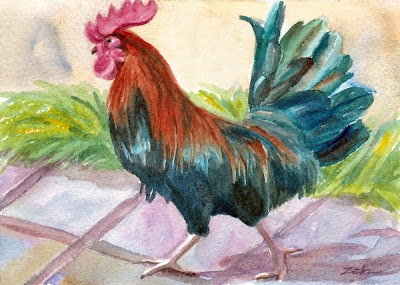 Bermuda Rooster watercolor painting by Janet Zeh
