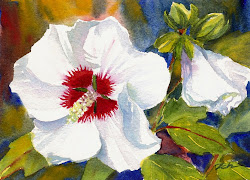 hibiscus watercolor flowers oil paintings watercolors