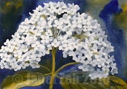 hydrangea snow hills painting watercolor oil