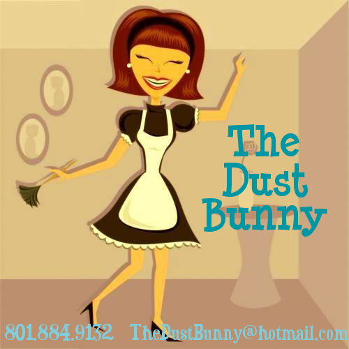 The Dust Bunny