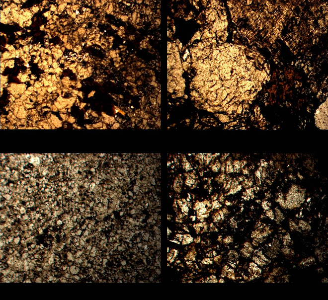 Sezioni dei campioni di roccia - Saxum 2008